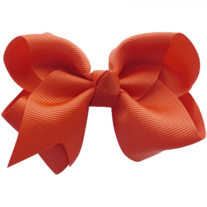 Pinza para el pelo Lazo Beauty